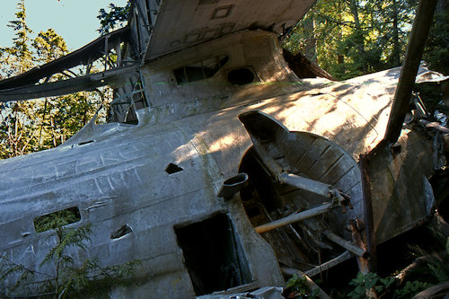 Main Undercarriage Bay