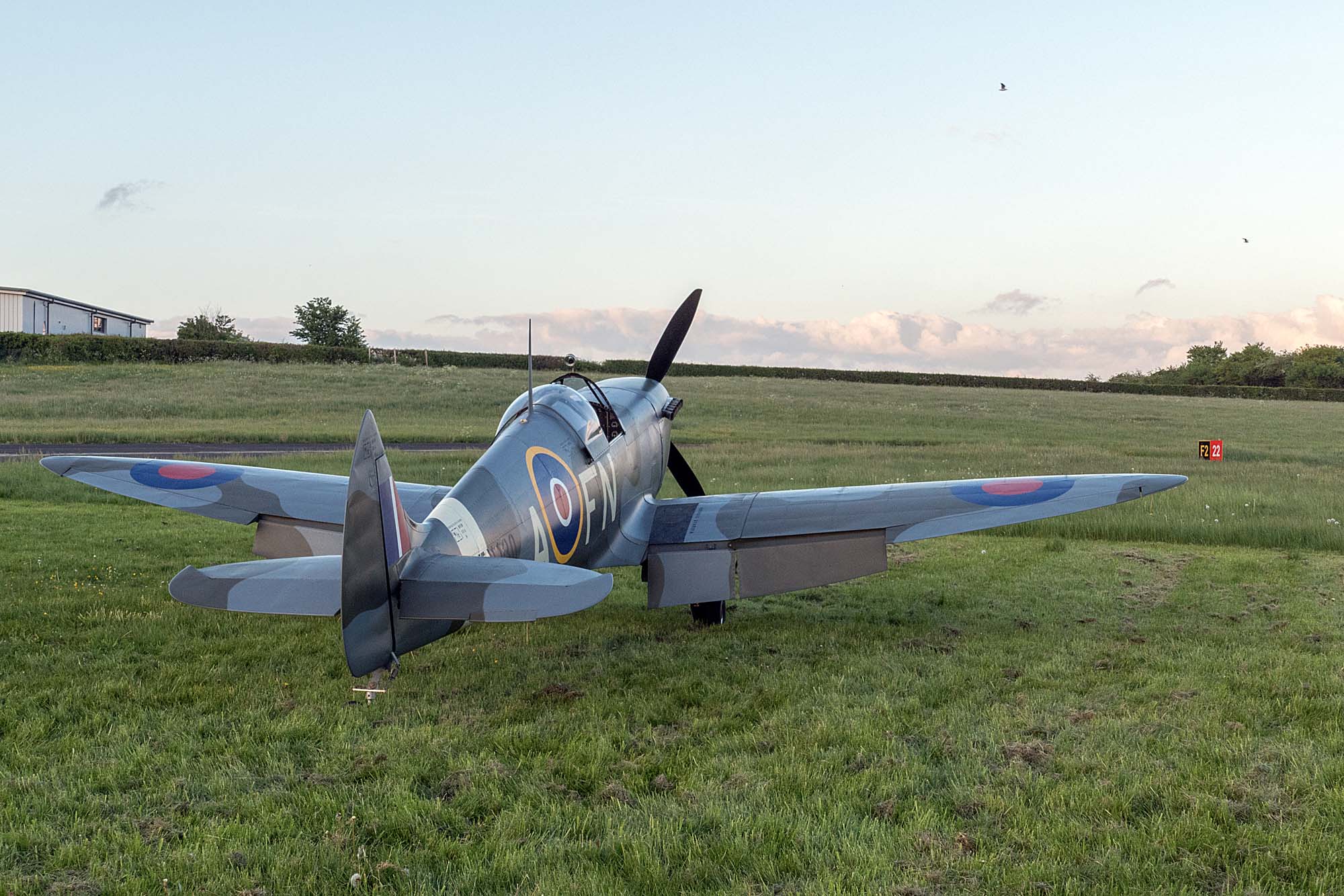 Spitfire